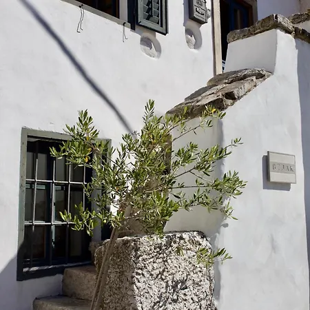 Appartamento Historic House Pri Bzjak For Two